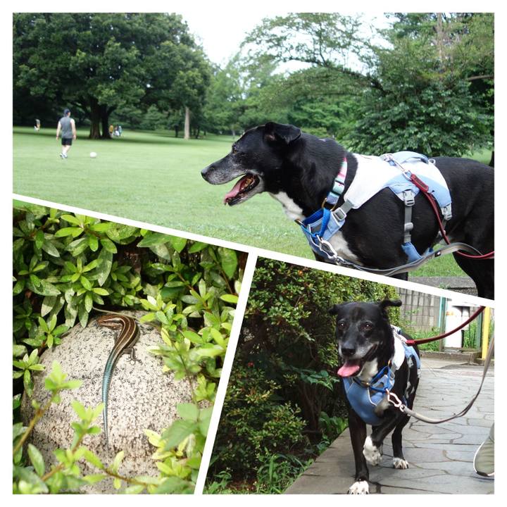 E04e4db2 0a29 4a0e ac1a 46af38d097ca 1751674805917