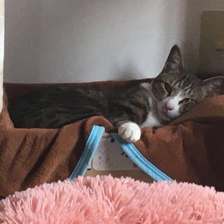 E04e6585 e818 4708 a8f7 7c2ce9107a33 1662457721984