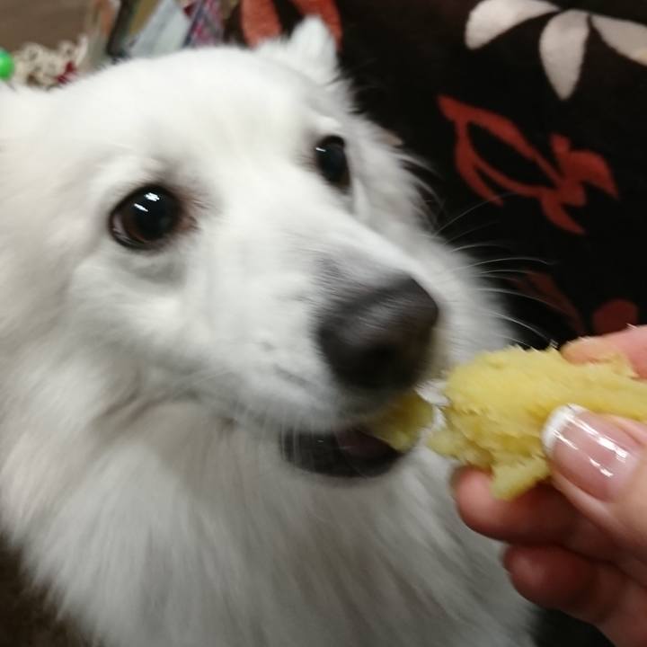 E04e7657 0e3f 475c b7c5 eb212874b18d 1544345238189