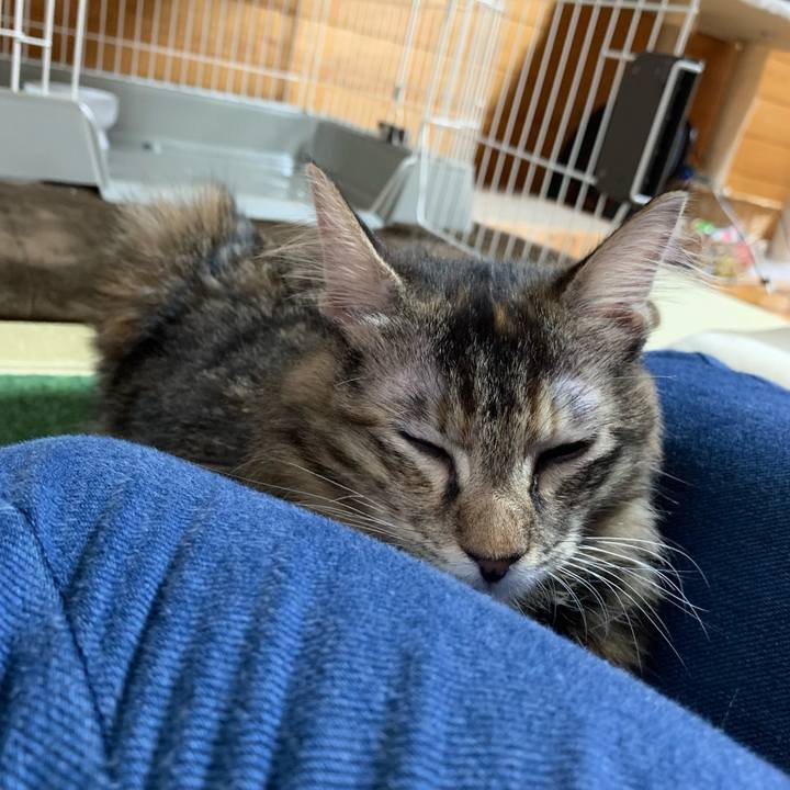 E04e7bd7 d543 4f5b 91be 2be84c7da197 1647347174345