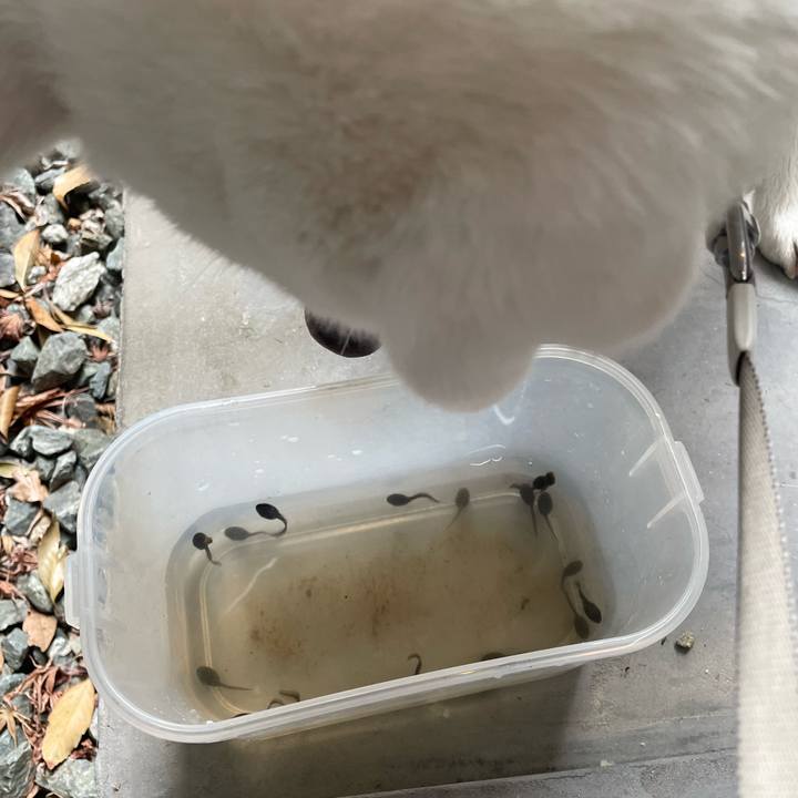 E04e8e61 ff6a 47df 8ea8 4fb3f3df9ffc 1745120829263