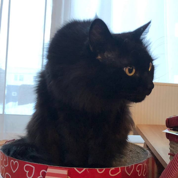 E04ea070 491d 4ef6 9a5e 609a6ebd0f8e 1549451357699