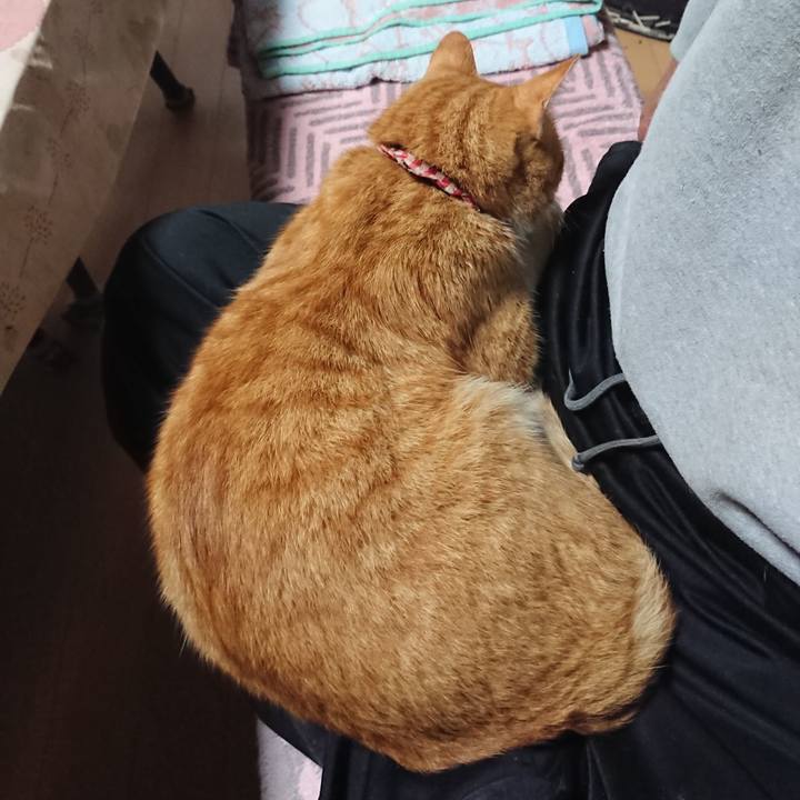 E04ea6f5 c47a 423e b99f 45699bd28147 1602366385424