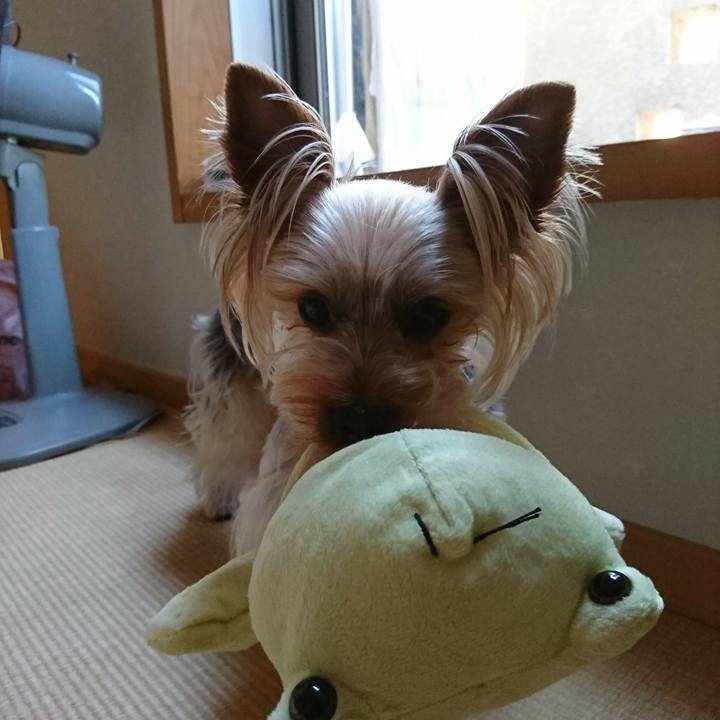 E04ec034 59da 4a8c 882c efb3f68f5efa 1527981415874