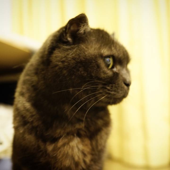 E04ef07c 74cc 4c15 aeed 36a337dcc361 1645111782949