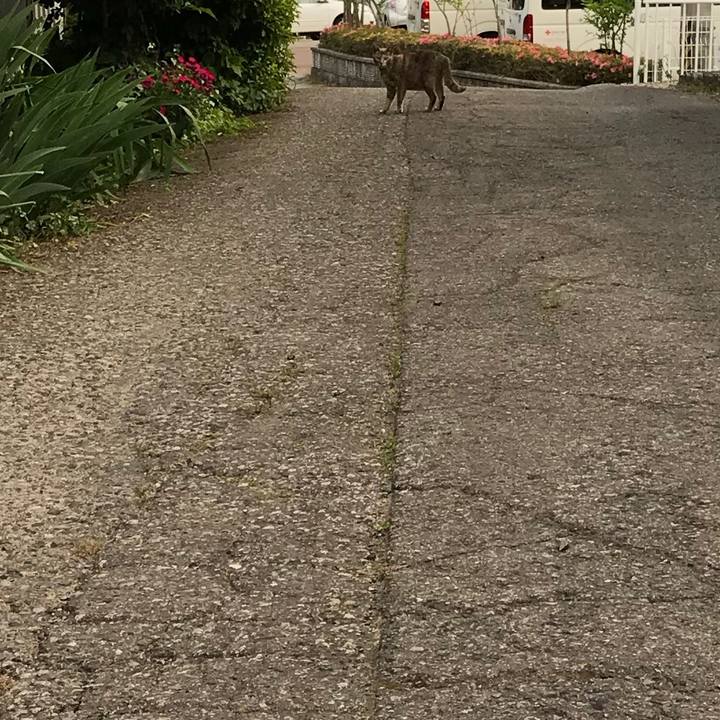 E04f01a4 df8a 4bbb 9bc0 79aacc14c97e 1527937206643