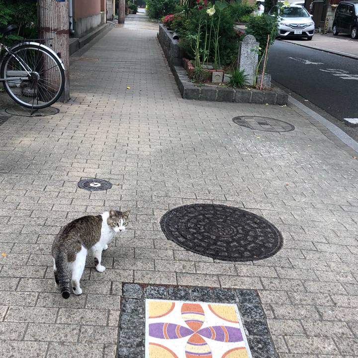 E04f1e94 75ef 46c3 a962 4063bccf4e9a 1560603524915