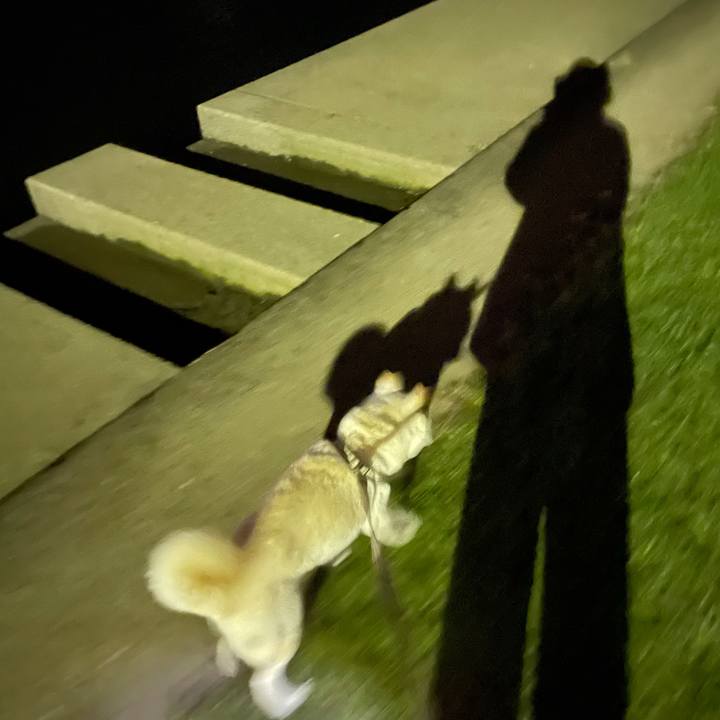 E04f1f44 a03d 45f0 8e64 0f66aca5249b 1635514273296