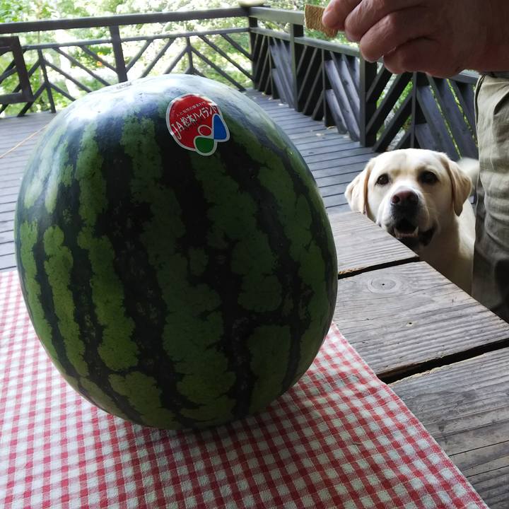 E04f4829 0eaa 416e a703 7a84039260ea 1565608335569