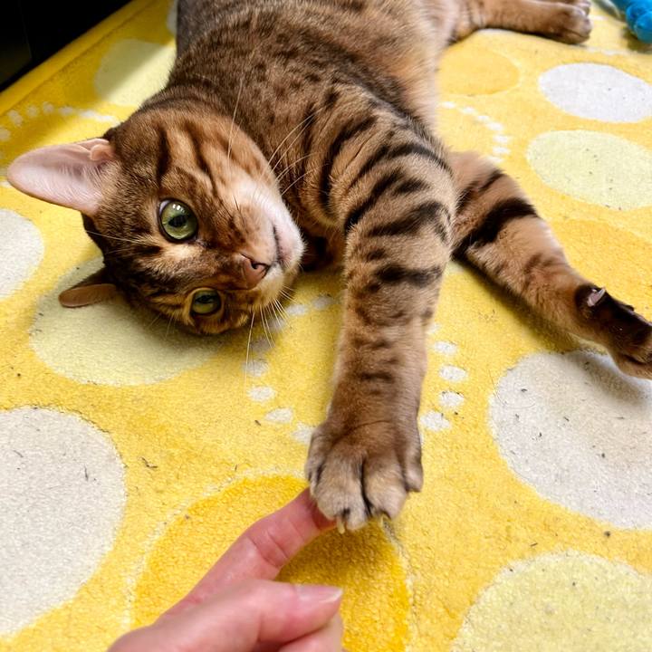 E04f487e 80ec 40f6 9e89 89398d0aeb74 1650175443590