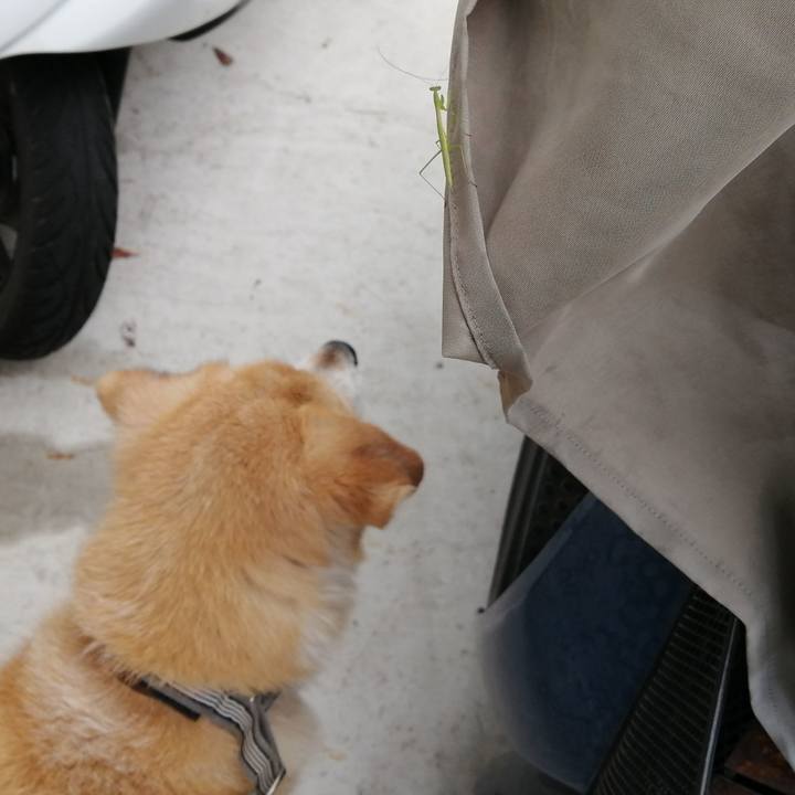 E04f4a8b b147 4834 8ee8 52673e921b7c 1625296347715