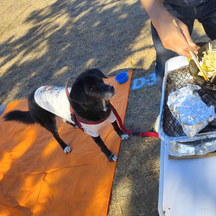 E04f53c2 245f 4ec5 a0bb d5839c57a8c7 1766243377757