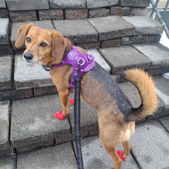 E04f68e4 3cde 4e92 b5c1 291078b261fe 1771383459069