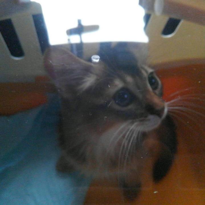 E04f7cbf 6ba5 4480 b920 41533c22e321 1572690994935