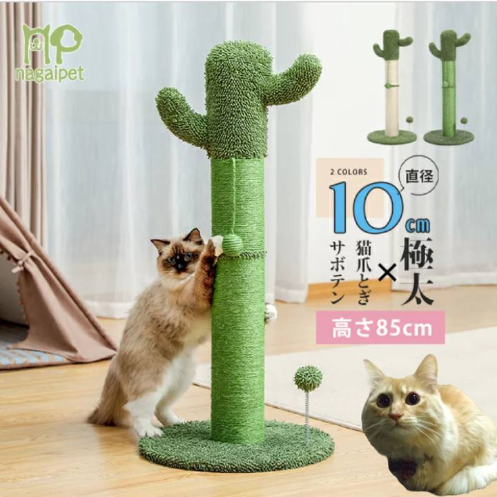 E04f934d e499 4e99 803a 49591f3a04f1 1641621459422