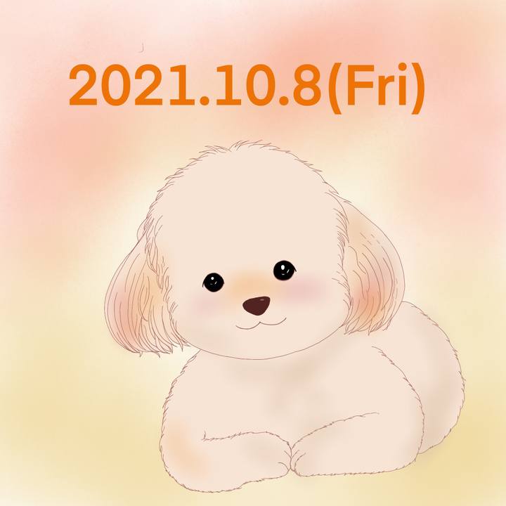 E04fa2bd 0faa 4bb9 b98b b90d284c403e 1633696735359