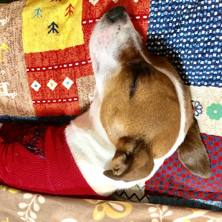 E04fad08 0a14 44cd b441 937c0c29179e 1543754578809