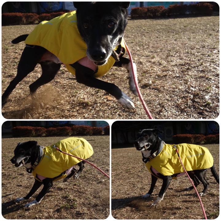 E04fc5e9 1dd0 4124 ac30 efdfa4832417 1739839484938