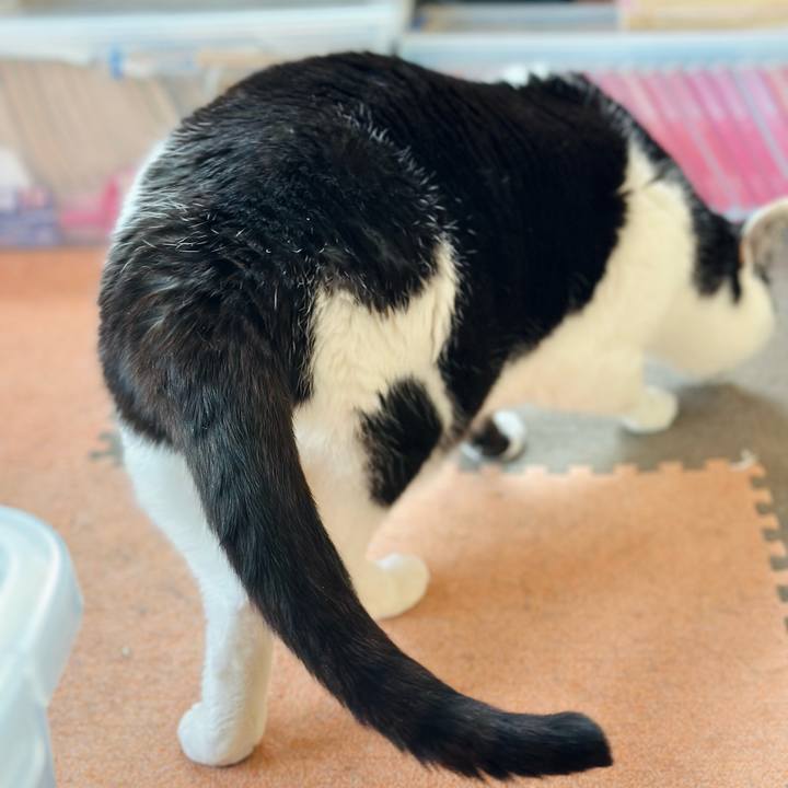 E04fdfc4 d35e 4521 b9bb 706bad181d87 1672013292896