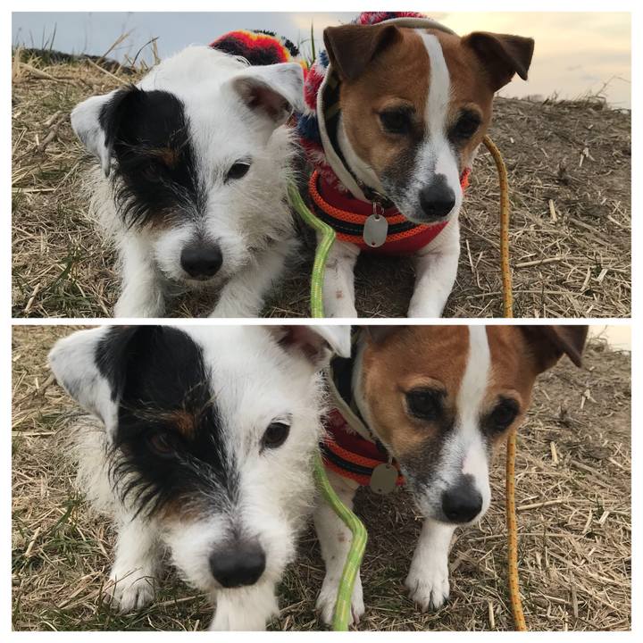 E0502fa7 7323 43d3 ae21 cb2f81cd631c 1519029333888