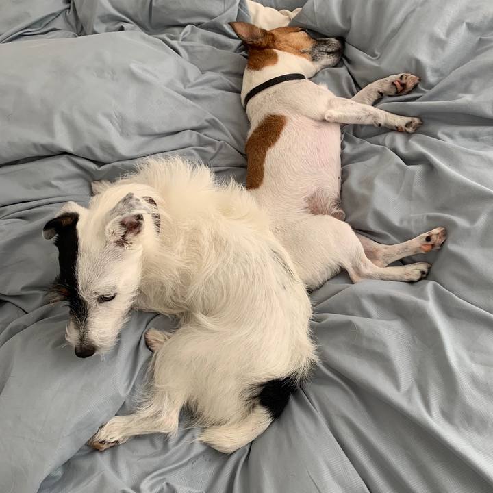 E0506080 286c 47b0 b5cc 5f104aa5ddcf 1566876814951