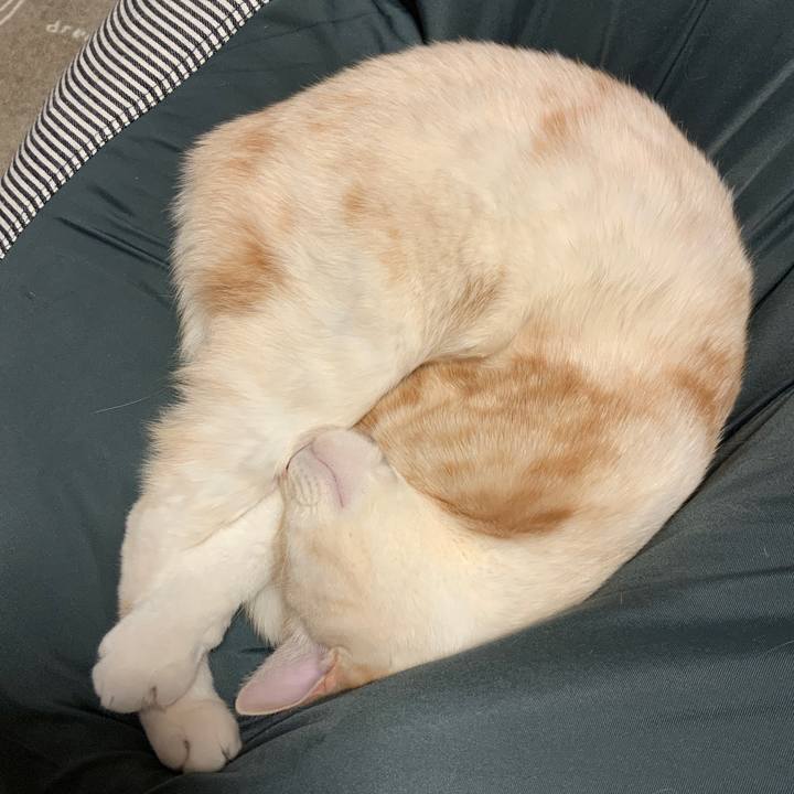 E05064dd 2ec8 439f b11b 7f98c375ca5c 1675938411442