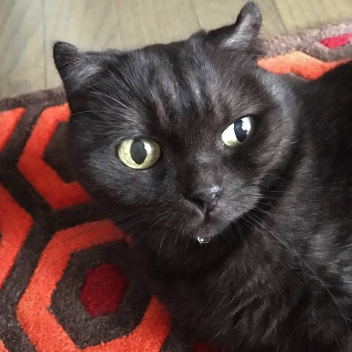 E050e1b2 b2fc 45e3 b22e 2faf7ca8b613 1535506783870