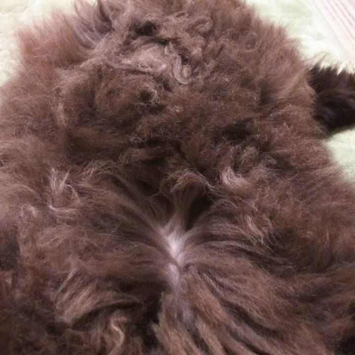 E050e3cc 812e 4e93 ae0b 2814ee0f2522 1523936726515