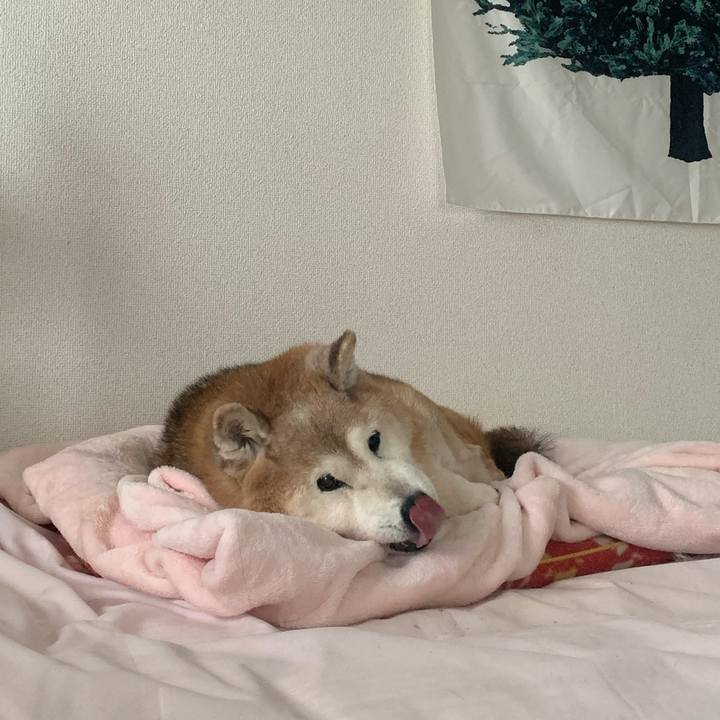 E050f7b5 7065 43fb a734 46870b1f6ff8 1670722076131