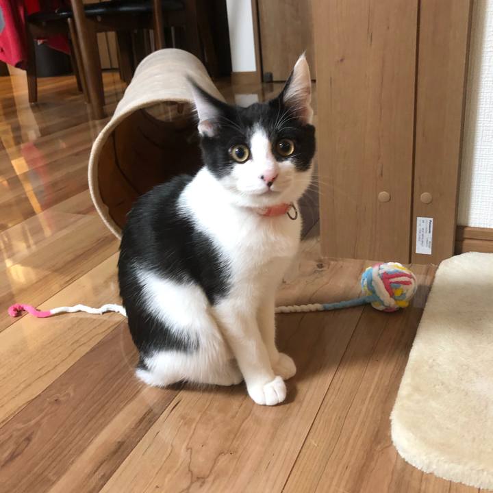 E0510e4e 38ef 46b4 bad2 5d7db6792f7b 1614763829432