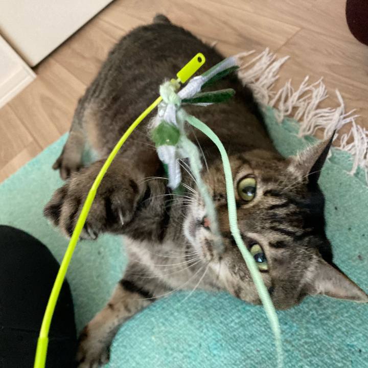 E0511012 0c37 412e aecc c71bb87c2cf3 1765425569324