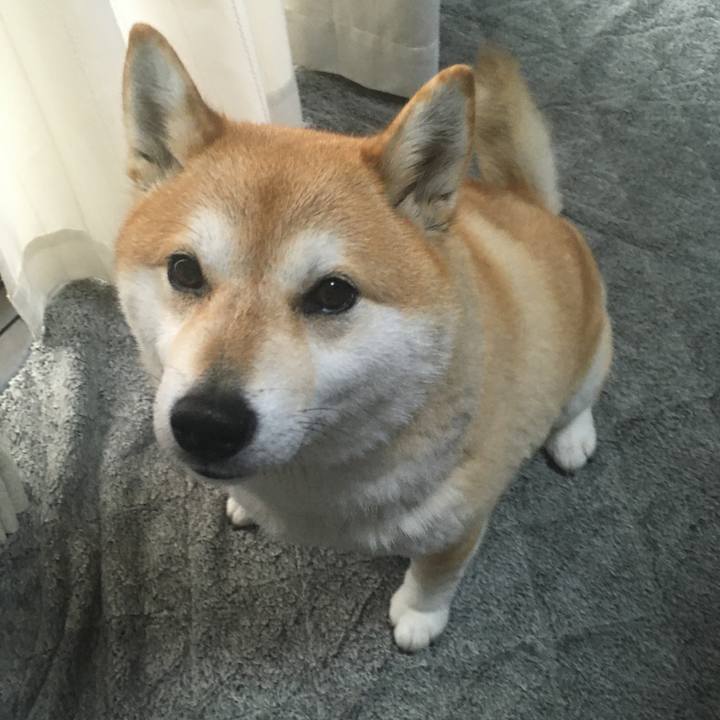 E0518d32 e29e 4183 8967 7e0db5c63972 1579752870816