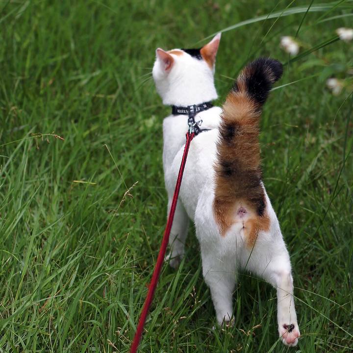 E051b49c f98c 4e98 bf1b ef50d15d8ff1 1600124292498