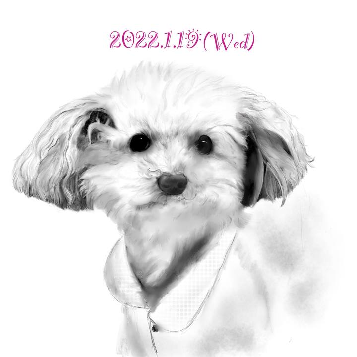 E051b555 47f8 4382 a811 f63290a1e498 1642597035194