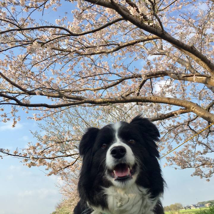 E051cfc5 2f6f 4ba7 9aea be3843b4623f 1585784622950