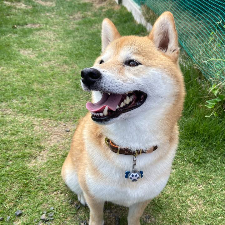 E051d1fb e1bd 4e72 a403 249de79ca235 1604309575206