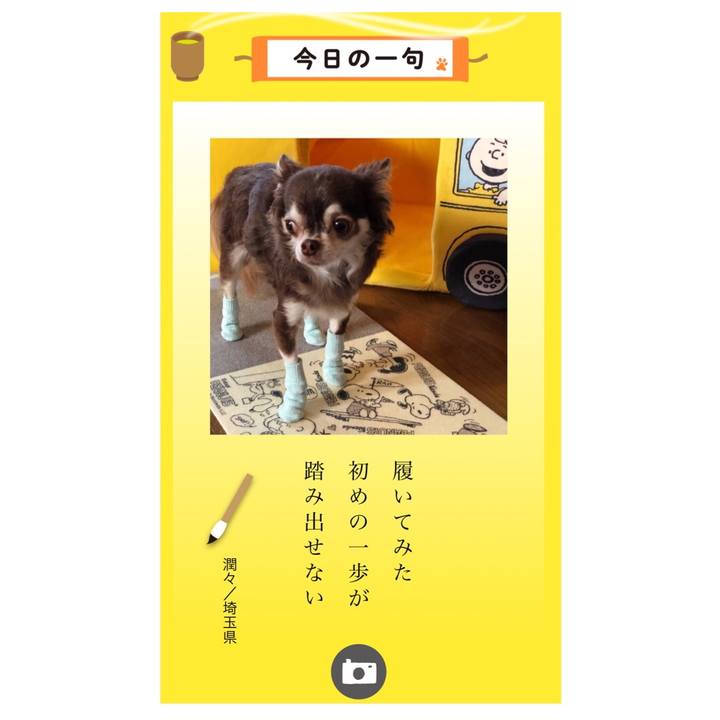 E051d4c5 e60d 4ded ae41 6783fe98e3f9 1535777466950