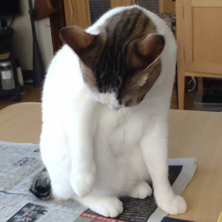 E051f35d 4b21 4dc4 83bc 5591db6e1e5c 1742780648170