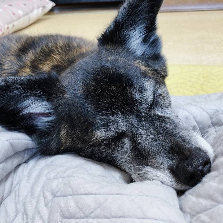 E051f657 415e 43fd 9b07 5b55f9442bb0 1683373171398