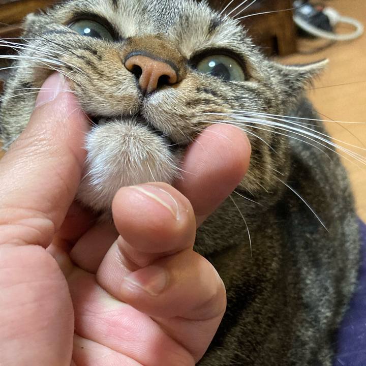 E05244f8 7455 4d84 a09a 62677dc095ae 1613025829425