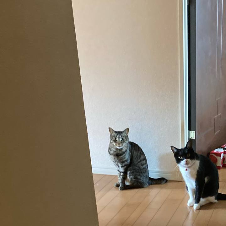 E0529440 435b 402a 979b 7d6049c4816e 1658293042053