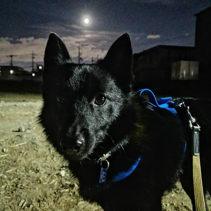 E052a174 6bc9 4e25 b31c 58eaf0307460 1634723432226