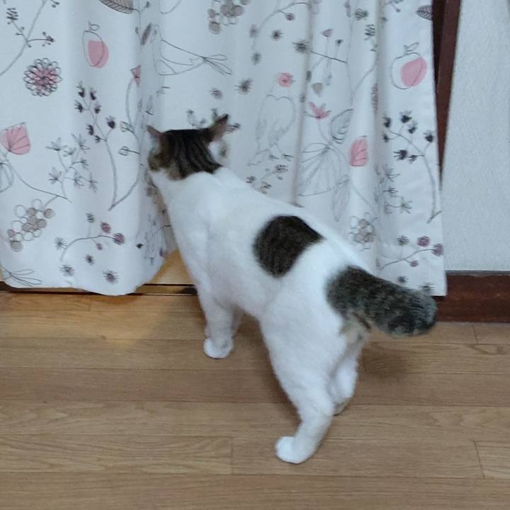 E052b5b1 2bd2 4c83 a563 2d2ea90d17f5 1647598148358