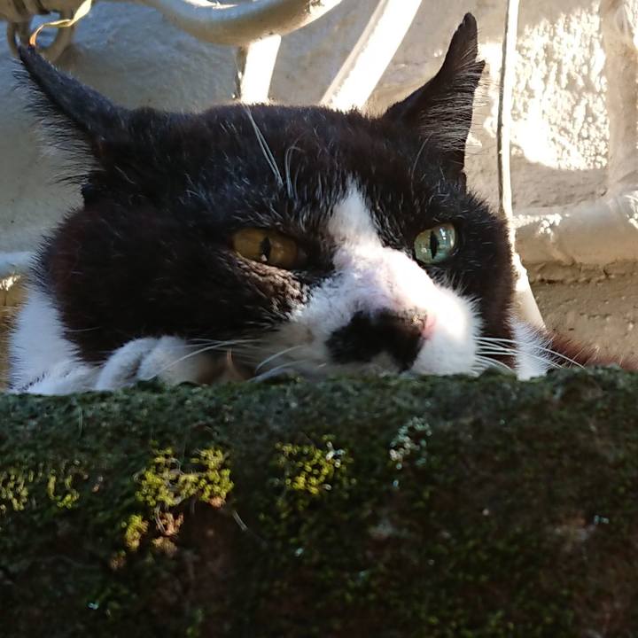 E0532b43 2922 4790 bb5f 4b4efdfb3bca 1689497288466