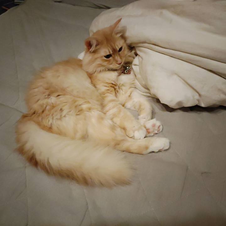 E0535505 3d11 4893 ac88 15d61ffec035 1693396921358