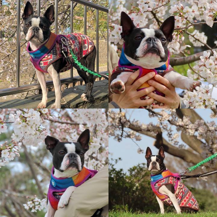 E0535eea a4c8 4acb a3ba f7c778fadf46 1617285887163