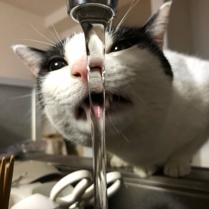 E0539a79 c4e8 43a6 9619 5f28588dbf61 1571820542194