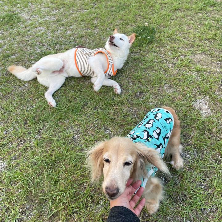 E053b282 80c8 4ff8 8c1b 96536d306978 1656506385851