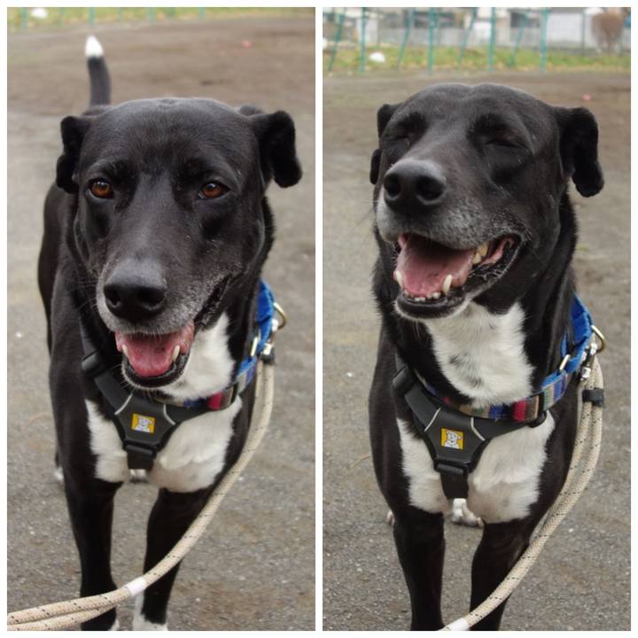 E053b2d9 7902 456d 85b2 8555b744fe74 1648257140698