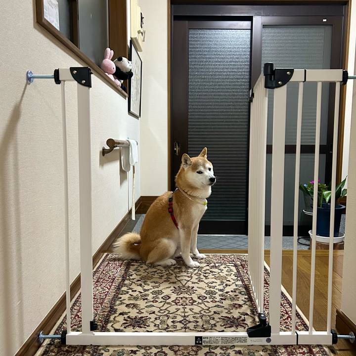 E053dc84 292d 46ec 9857 37d366113eff 1719918045897